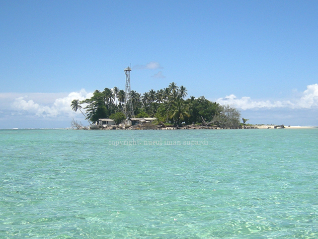 pulau-tikus-bengkulu